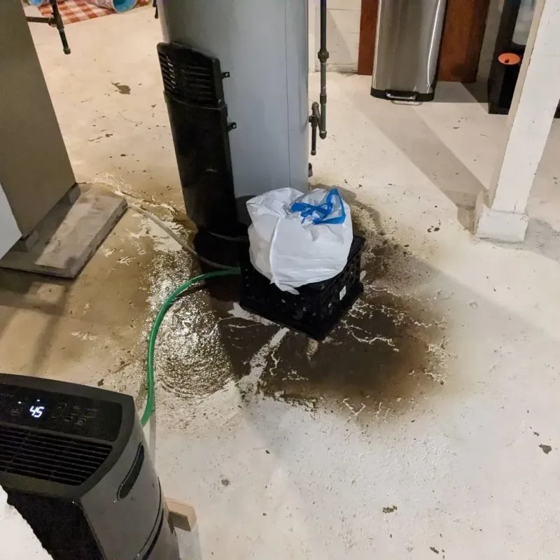 Sewage Backup Cleanup Service in Las Animas County, CO
